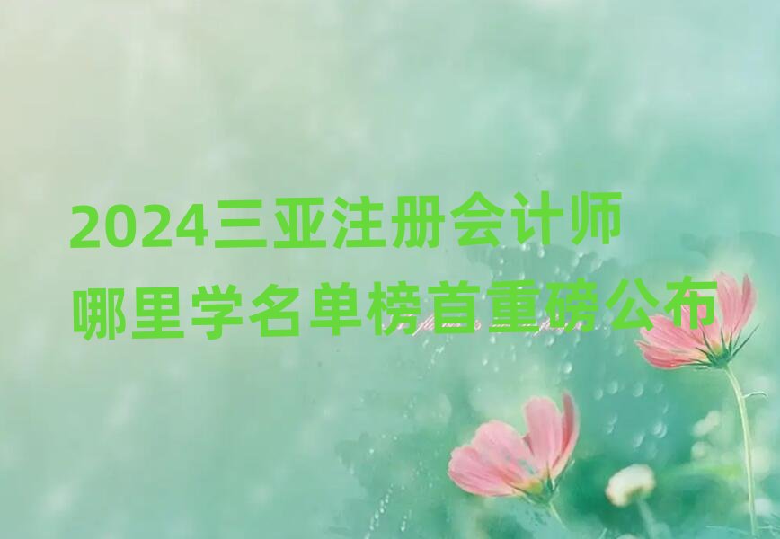 2024����ע�ԕ�Ӌ������W���ΰ����ذ�����