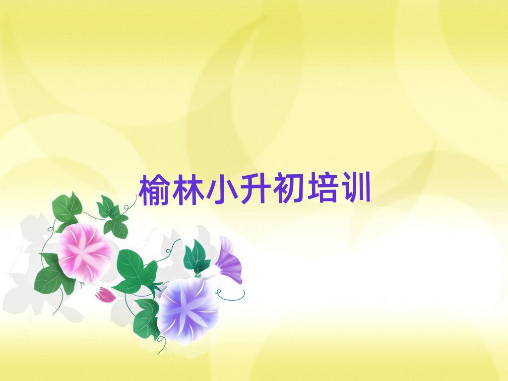 2024������С�����W���n���˚����а�һ�[��