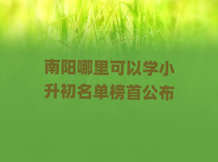 ���������ԌWС�������ΰ��׹���