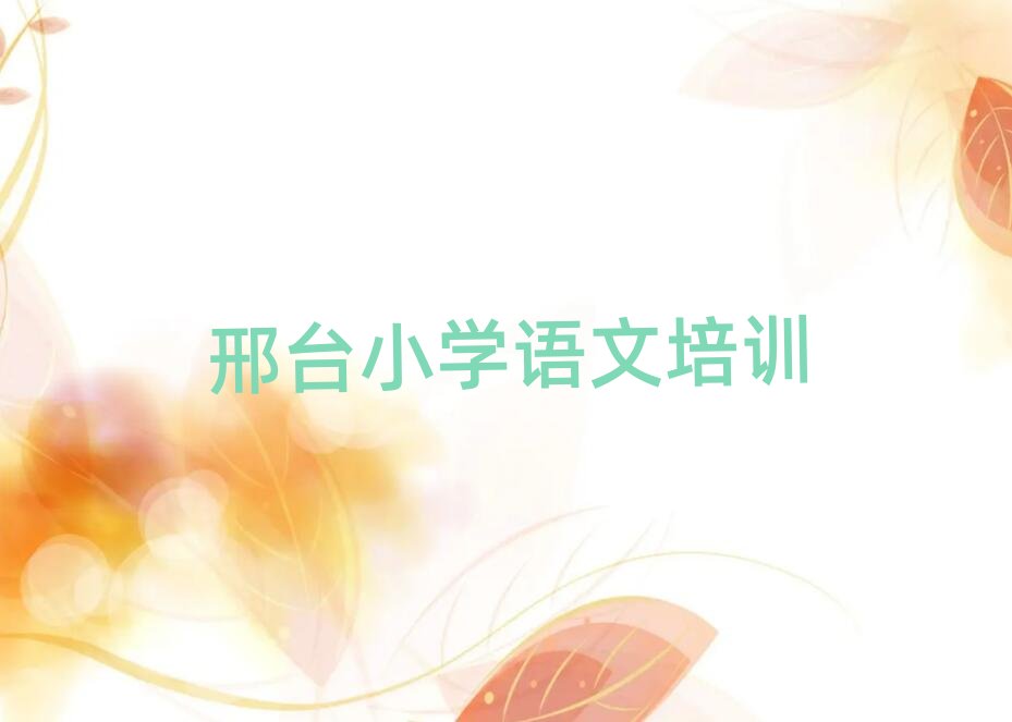 2024�����_��|�^С�W�Z����Ӗ�C���h��ʮ������