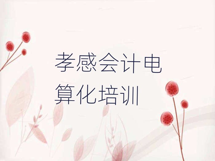 孝感學(xué)會計(jì)電算化哪兒好名單榜首出爐