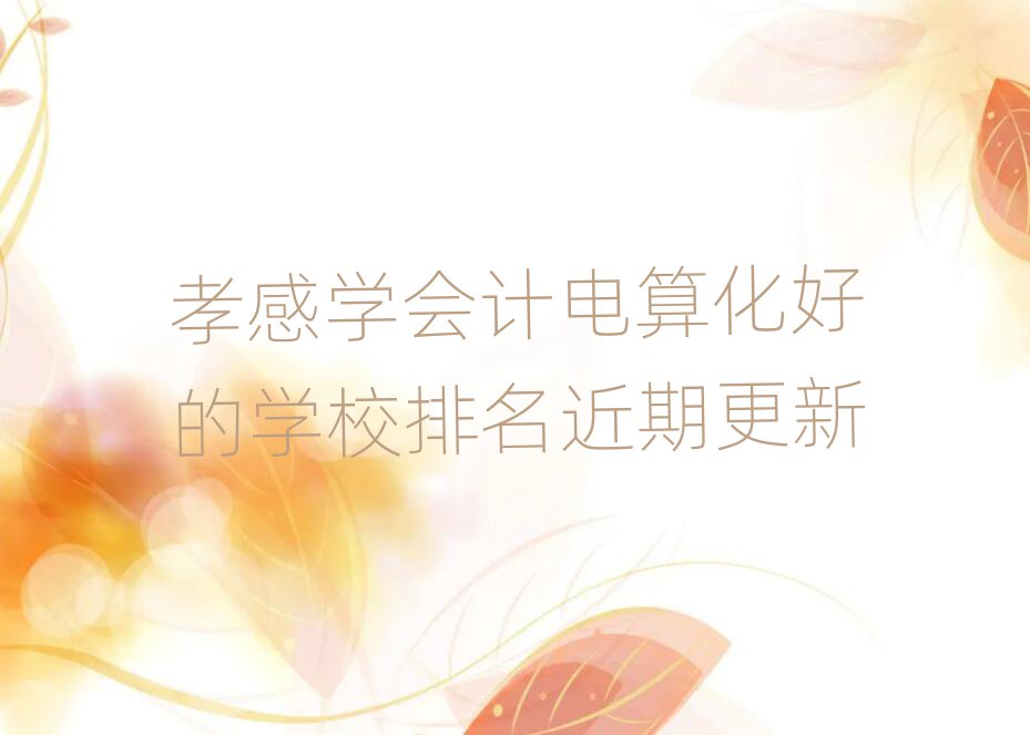 孝感學(xué)會(huì)計(jì)電算化好的學(xué)校排名近期更新