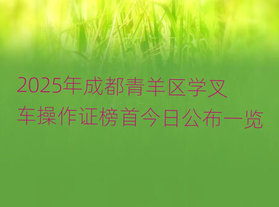 2025ɶ^W܇C׽չһ[
