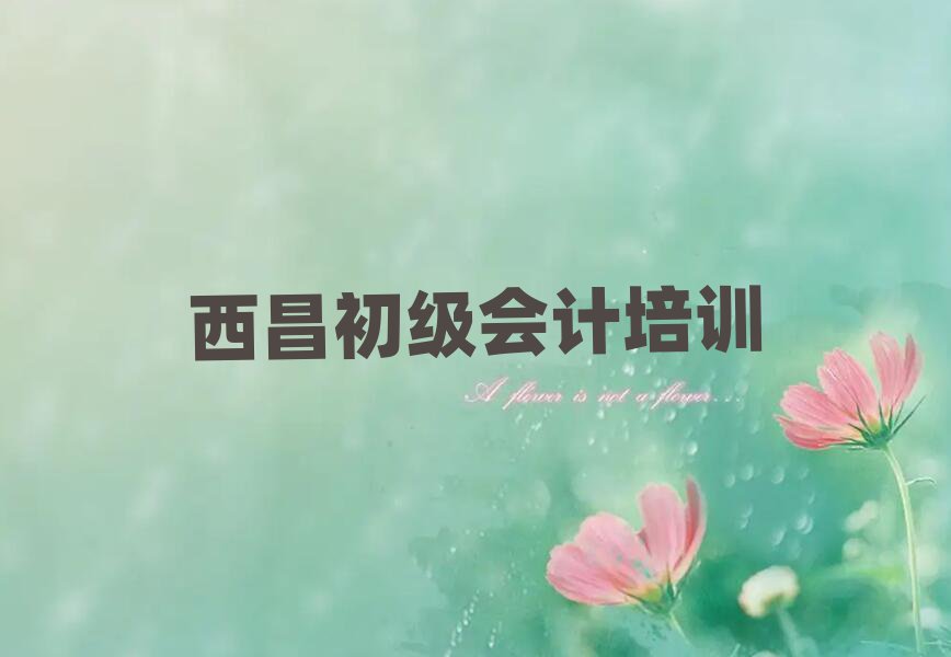 西昌學初級會計的學校十大排行