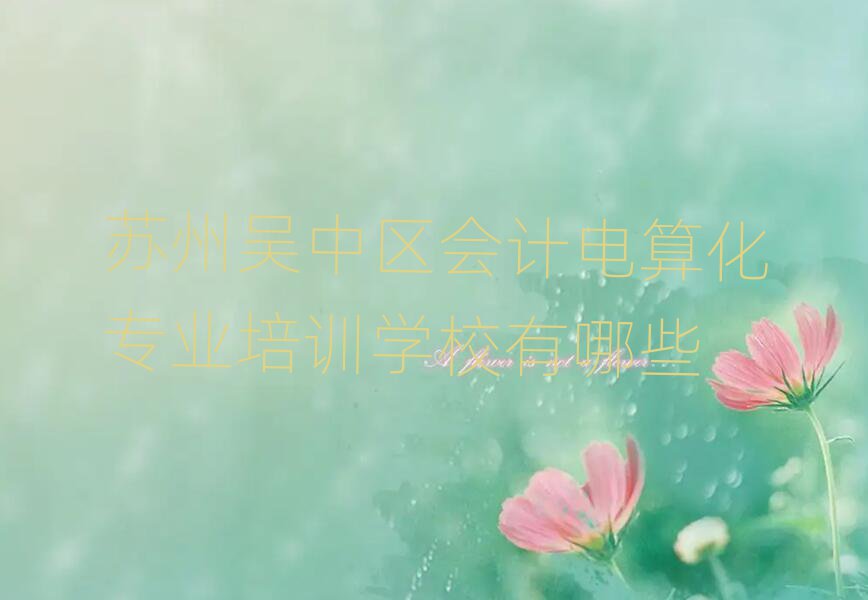 蘇州吳中區(qū)會計電算化專業(yè)培訓(xùn)學(xué)校有哪些