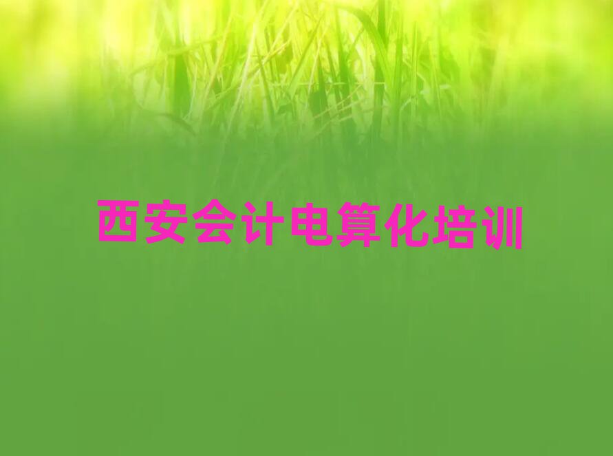 4月西安石井鎮會計電算化價格多少錢一天十大排名