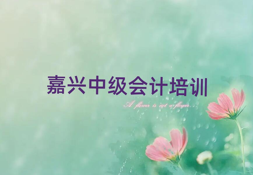 嘉興南湖區比較正規的中級會計學校有哪些排名top10