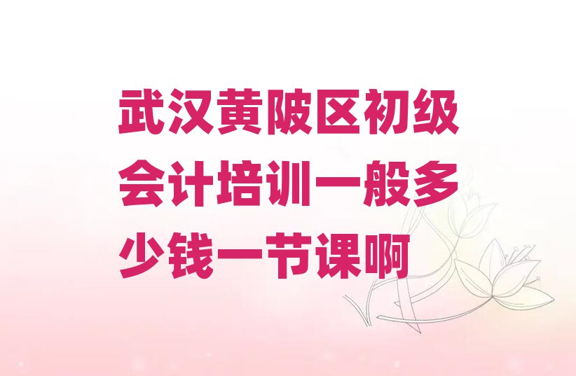 武漢黃陂區初級會計培訓一般多少錢一節課啊