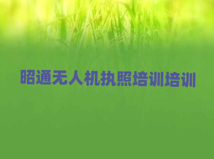 2025����ͨ��(y��u)·�ھ��o�˙C(j��)��(zh��)����Ӗ(x��n)��Ӗ(x��n)����������