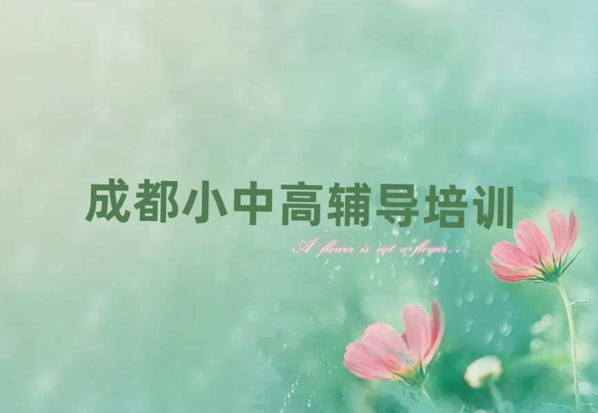 成都小學(xué)英語培訓(xùn)在哪學(xué)