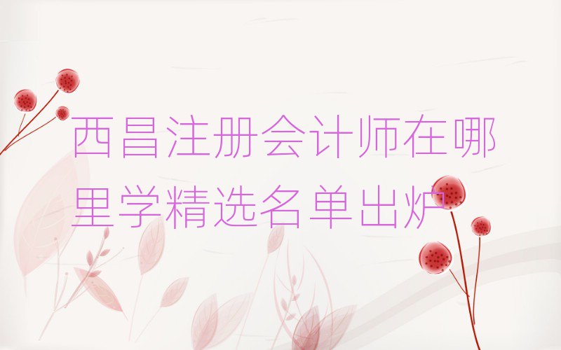 西昌注冊會計師在哪里學精選名單出爐