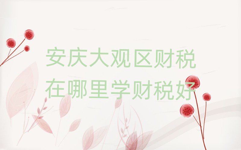 安慶大觀區財稅在哪里學財稅好
