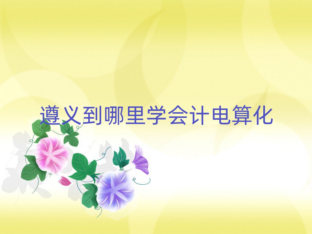 遵義到哪里學(xué)會(huì)計(jì)電算化