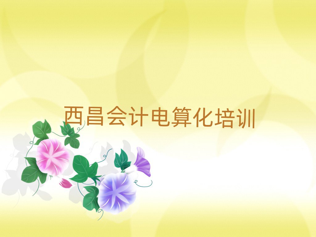 2025年目前比較好的西昌會(huì)計(jì)電算化培訓(xùn)機(jī)構(gòu)