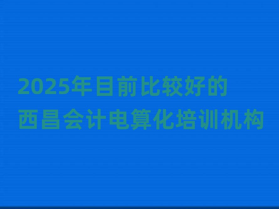 2025年目前比較好的西昌會(huì)計(jì)電算化培訓(xùn)機(jī)構(gòu)