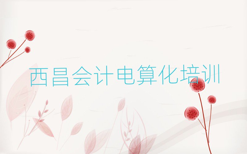 西昌會計電算化網絡培訓班排名前十