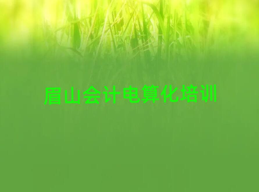 2025眉山學會計電算化好的學校十大排行