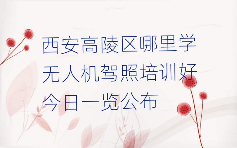 �o�˙C�{����Ӗ(x��n)