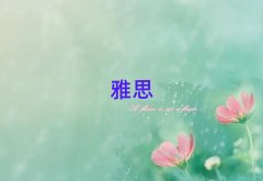 2025�꽭�T�WieltsҪ���ٌW�M