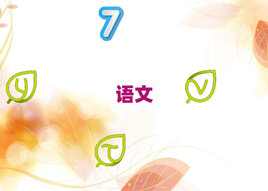 2019����݌WС�W����������